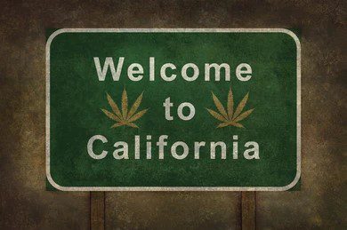 welcome-california-cannabis-leaf-symbol-260nw-514358182