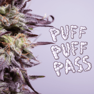 GOP Presses Biden for Details on Cannabis Rescheduling