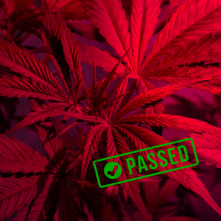 Committee Approves Bill to Block Cannabis Rescheduling