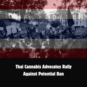 Protest Erupts in Thailand Over Cannabis Ban Proposal