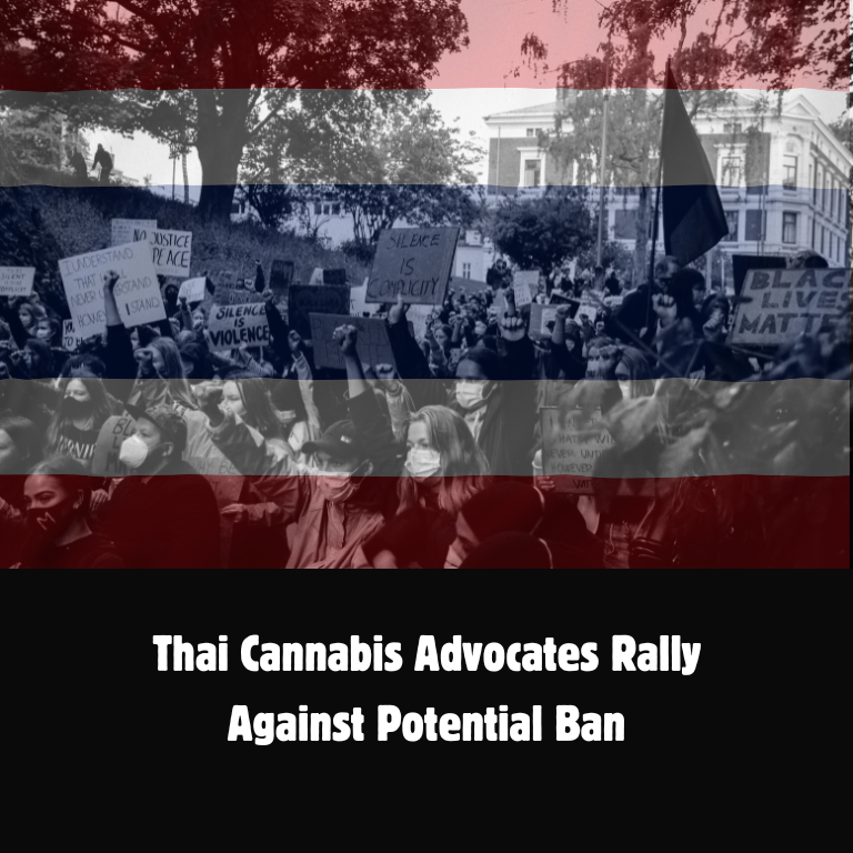Protest Erupts in Thailand Over Cannabis Ban Proposal