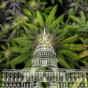 House Committee Halts Biden's Push for Cannabis Rescheduling