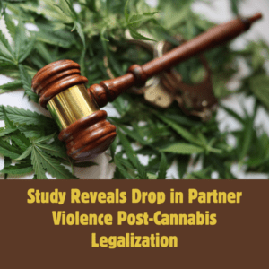 Study Reveals Drop in Partner Violence Post-Cannabis Legalization