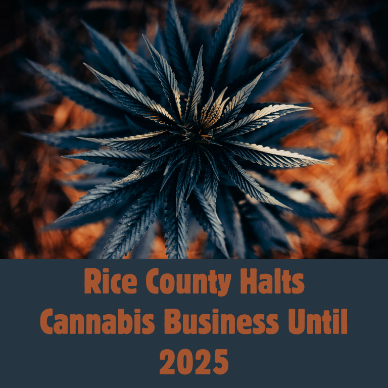 Rural Rice County Pauses Cannabis Business Until 2025