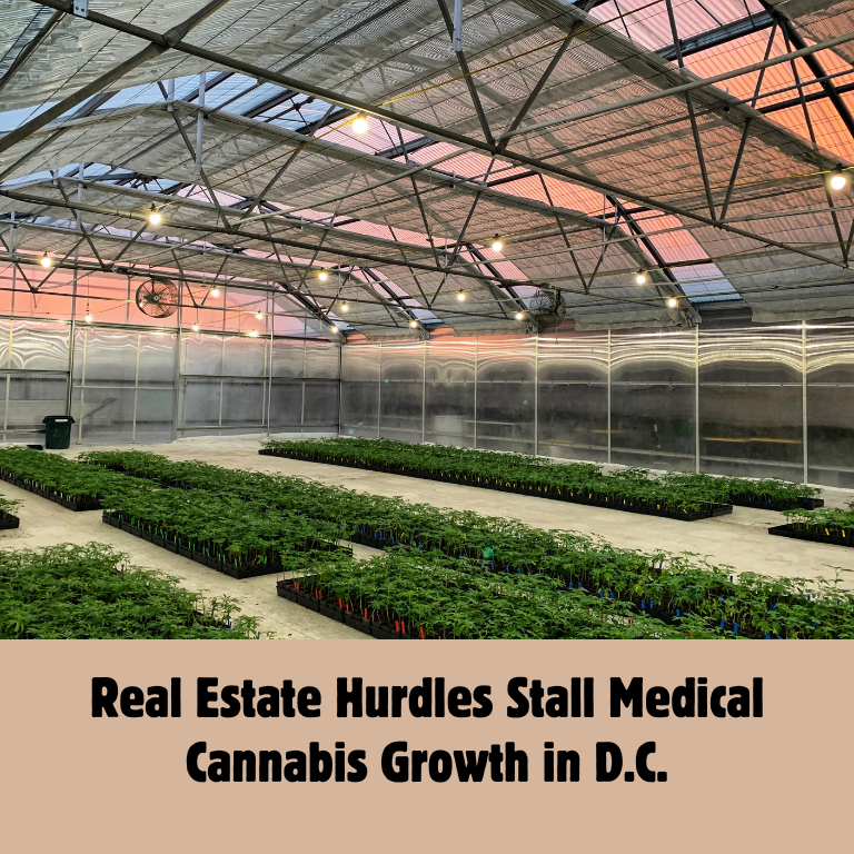 D.C. Eases Cannabis Licensing, But Few New Growers Emerge D.C. Eases Cannabis Licensing, But Few New Growers Emerge