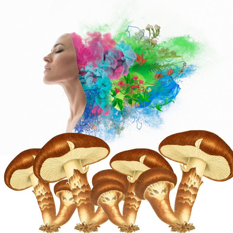 Study: Psychedelic Mushrooms Linked to Early Human Consciousness Study: Psychedelic Mushrooms Linked to Early Human Consciousness