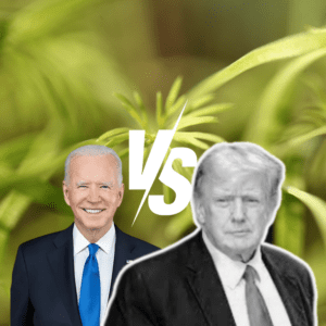 Biden Criticizes Trump's Cannabis Reform Stance at NAACP Event