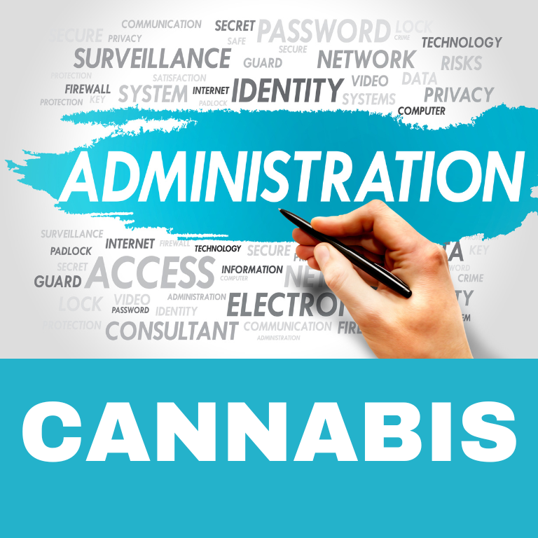 Democratic Party Highlights Biden's Cannabis Reforms in 2024