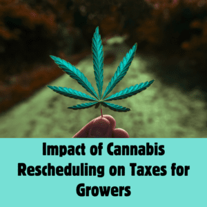 Tax Changes for Plant-Touching Firms Amid Cannabis Rescheduling