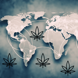 Oklahoma Medical Marijuana Authority Cuts Staff by 10% to Improve Efficiency