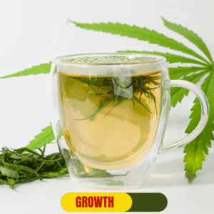 Hemp Tea Market Projected at $392M by 2031, 22% CAGR Growth