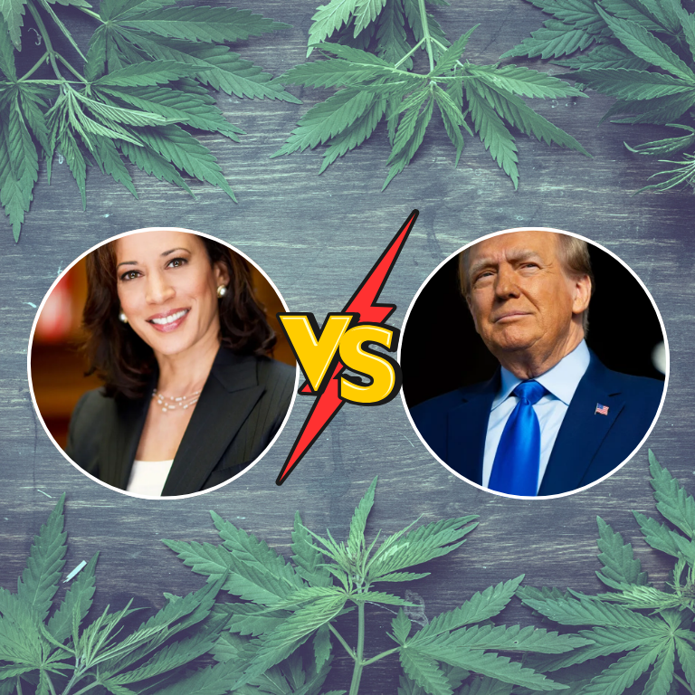 Cannabis Legalization: Kamala Harris vs. Donald Trump