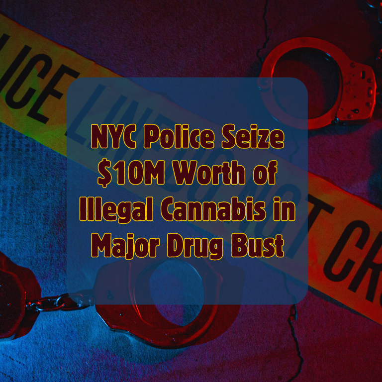NYC Drug Bust: Police Seize Illegal Cannabis Valued at $10M