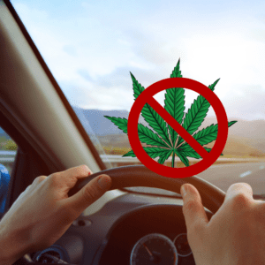 Cannabis Effect on Drivers Underestimated, Says NTSB Chief
