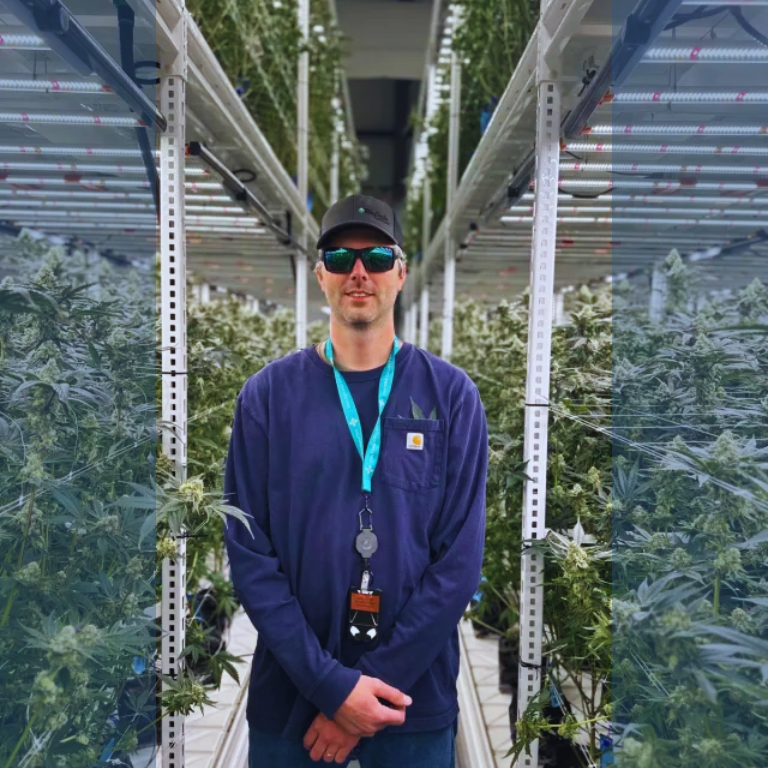 Justin Sheffield Discusses Cost Efficiency in Cannabis Cultivation Justin Sheffield Discusses Cost Efficiency in Cannabis Cultivation