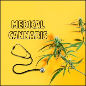 Patients Say Cannabis Outperforms Traditional Pain Meds