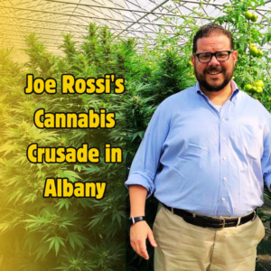 Navigating Albany: Joe Rossi and the Cannabis Conundrum