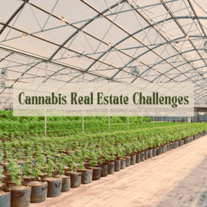 Overcoming Obstacles in Cannabis Real Estate Investment