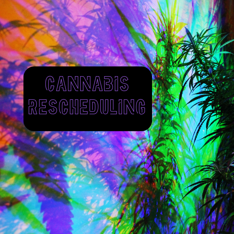 Medicine or Muddle? The Impact of Cannabis Rescheduling