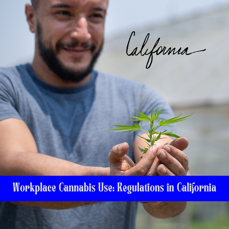 Navigating Cannabis Policies in California Workplaces