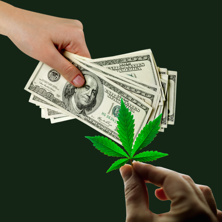 Does Your Business Require a Cannabis Surety Bond?