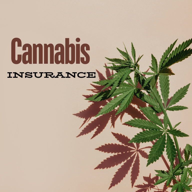 New Accessibility in Cannabis and Hemp Insurance Compliance