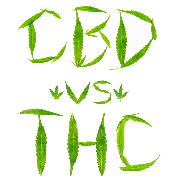 CBD vs. THC: Key Differences and Benefits CBD vs. THC: Key Differences and Benefits