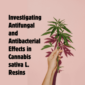 The Antimicrobial Potential of Cannabis sativa L. Resins