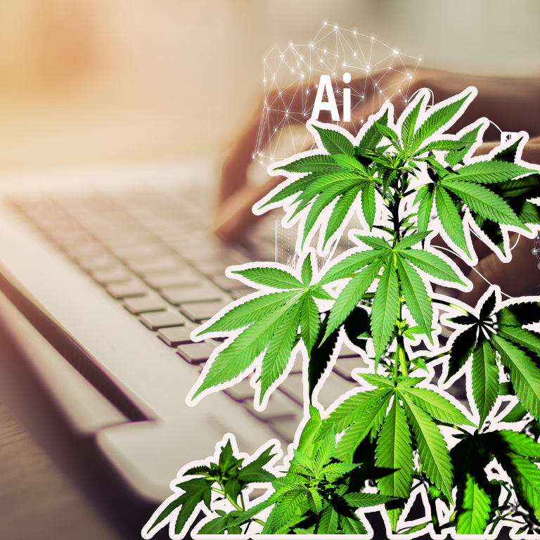 The Latest Breakthrough in Cannabis Cleaning Technology