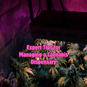 Expert Tips for Managing a Cannabis Dispensary
