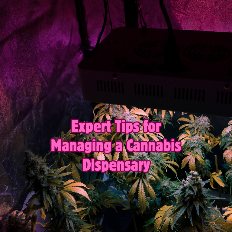 Expert Tips for Managing a Cannabis Dispensary