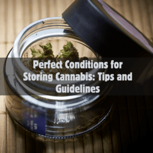 Perfect Conditions for Storing Cannabis: Tips and Guidelines