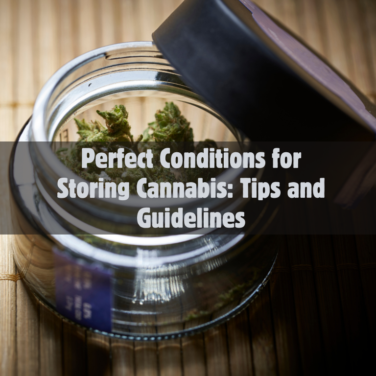 Perfect Conditions for Storing Cannabis: Tips and Guidelines