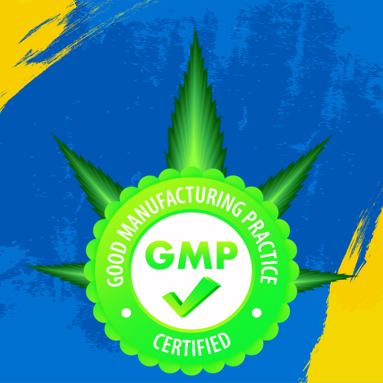 GMP Compliance in Cannabis Processing
