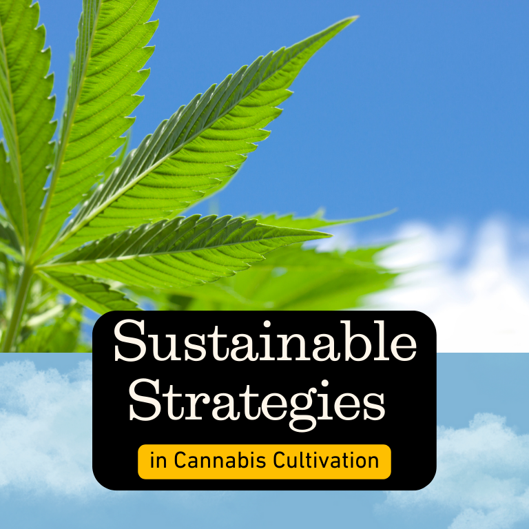 Reducing Cannabis Cultivation's Environmental Footprint