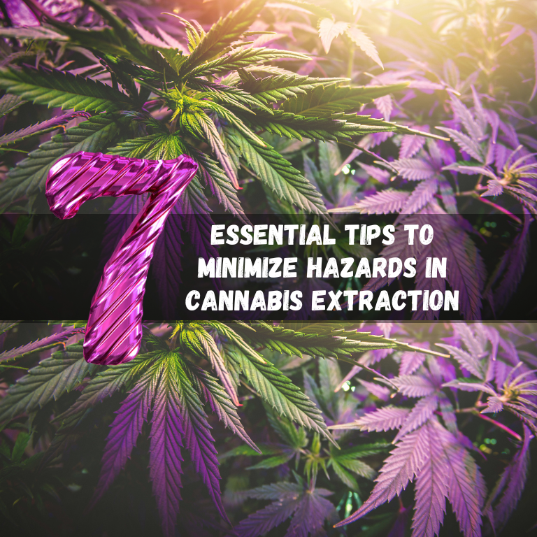 7 Essential Tips to Minimize Hazards in Cannabis Extraction