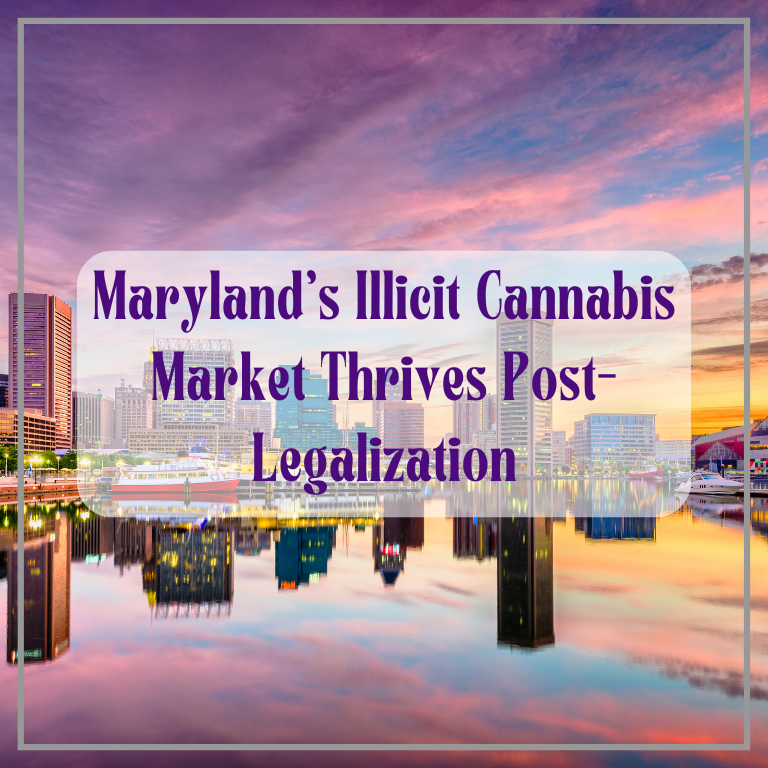 Maryland’s Illicit Cannabis Market Thrives Post-Legalization
