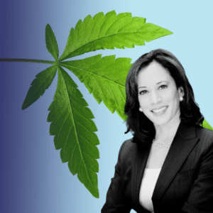 Kamala Harris's Views on Cannabis as Nomination Nears