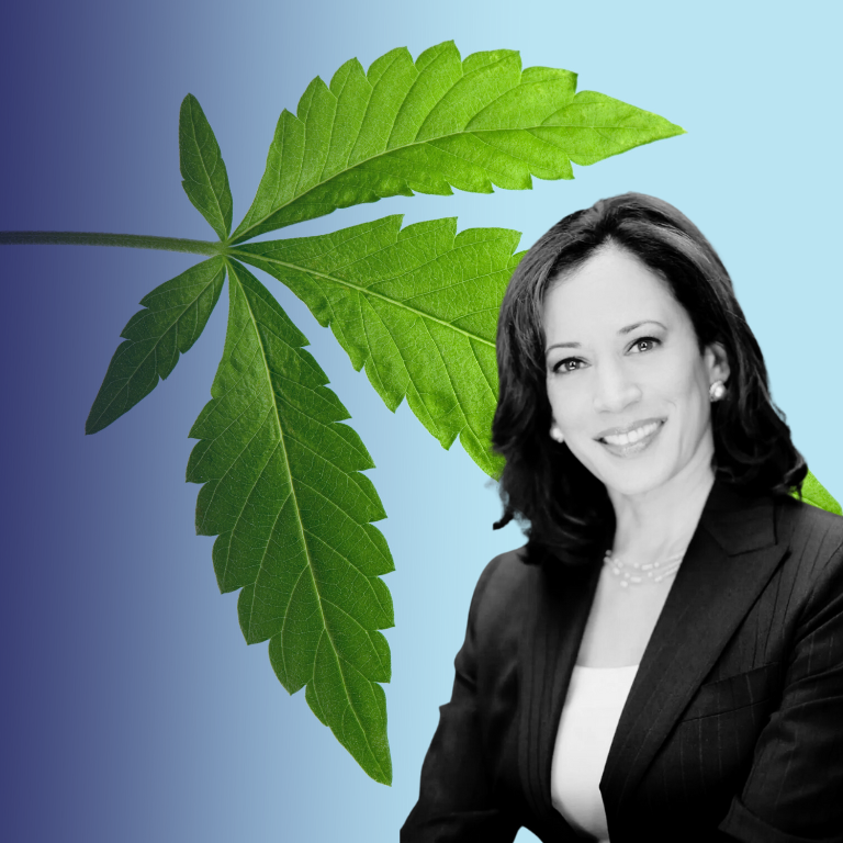 Kamala Harris's Views on Cannabis as Nomination Nears