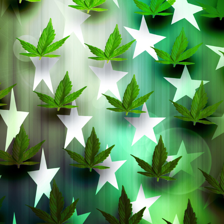 Senator Advocates for Urgent Progress on Cannabis Reform