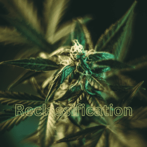 Nearly 43,000 Comment on DEA's Cannabis Reclassification