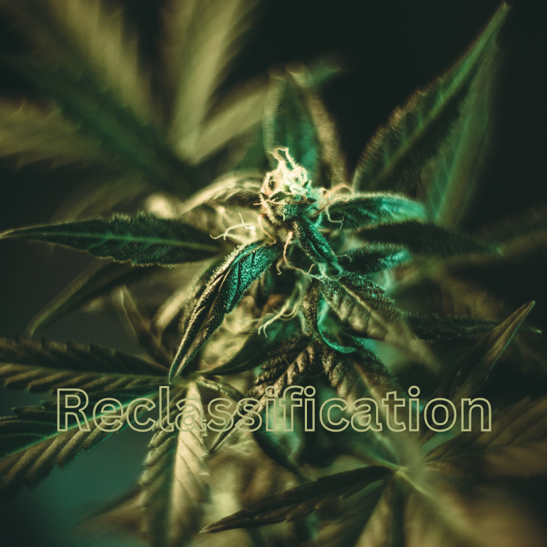 Nearly 43,000 Comment on DEA's Cannabis Reclassification