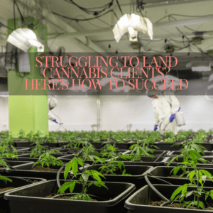 Struggling to Land Cannabis Clients? Here's How to Succeed