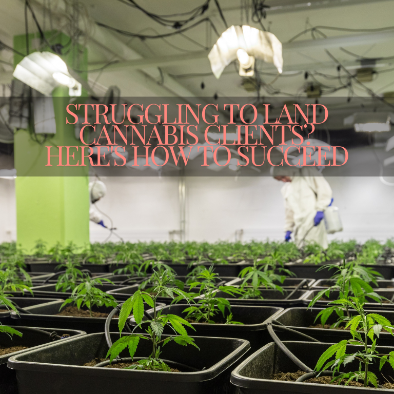 Struggling to Land Cannabis Clients? Here's How to Succeed