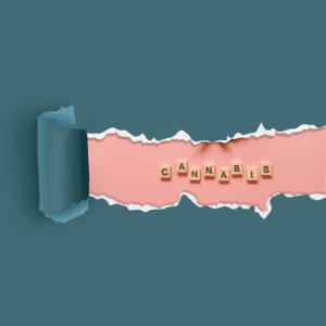 TheSeattleCannabis: Support System for the Cannabis Industry