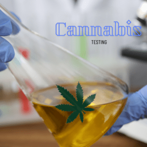Ethics in Cannabis Testing: Guaranteeing Fairness and Accuracy