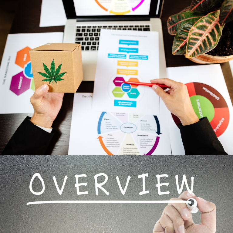 Cannabis Testing Market: Trends and Segmentation Analysis