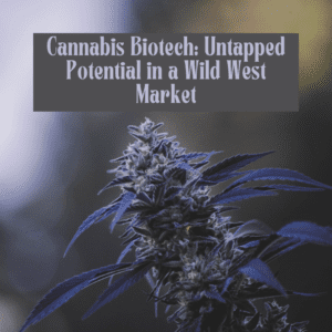 Cannabis Biotech: Untapped Potential in a Wild West Market