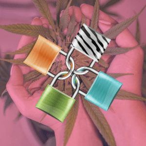 Essential Security Solutions for Cannabis Operations