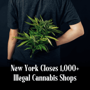 New York Takes Down 1,000+ Unlicensed Cannabis Shops